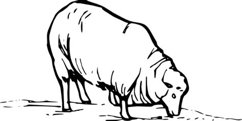 Free Lamb Outline Cliparts, Download Free Lamb Outline Cliparts png ...