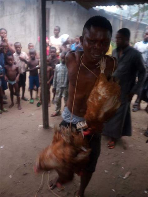 Serious Drama As Chicken Thief Is Stripped Unclad And Beaten