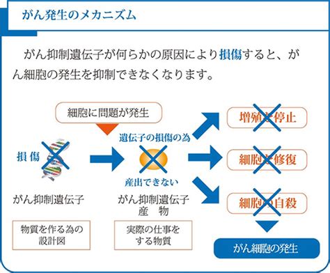 がんの遺伝子治療 鹿児島市の内科がん治療 さくらクリニック