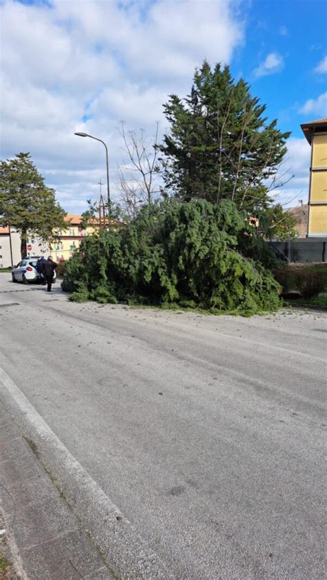 Forte Vento Il Sindaco Spagnuolo Chiude Parchi Villa Comunale E