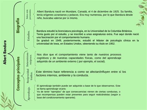 SOLUTION Cuadro Sin Ptico Sobre Bandura Studypool