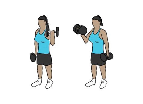 Picture Of Biceps Curl