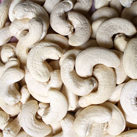 W Double White Whole Cashew Kernels At Best Price In Contai M S