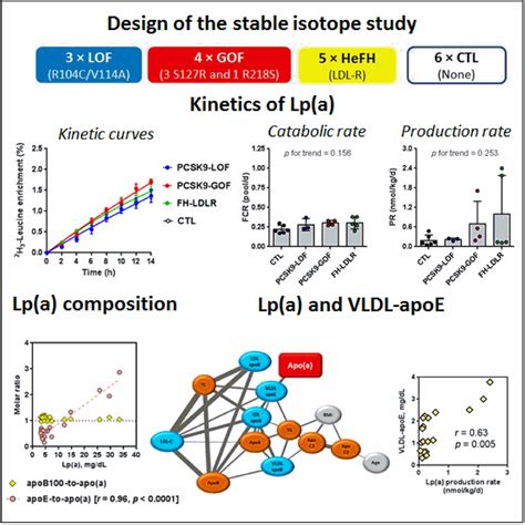 VLDL Very Low Density Lipoprotein Apo E Apolipoprotein E May