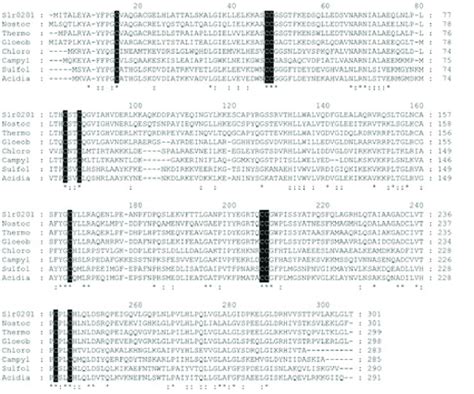 Multiple Amino Acid Sequence Alignment Of Slr0201 With Homologues From