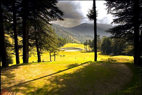 Places To Visit In Chail Himachal Pradesh Chail Tourism Things To