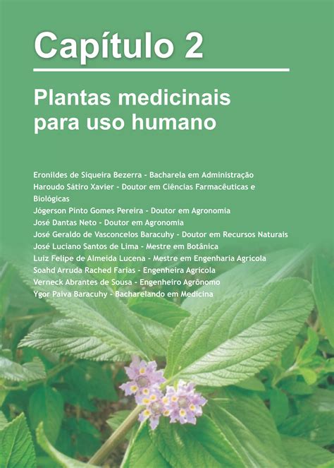 Plantas Medicinas Do Nordeste - Plantas medicinais de uso comum no nordeste do brasil | PDF