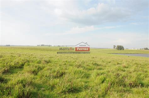 Campo Para Venda Santana Do Livramento Rs Bairro Campo Rea Total