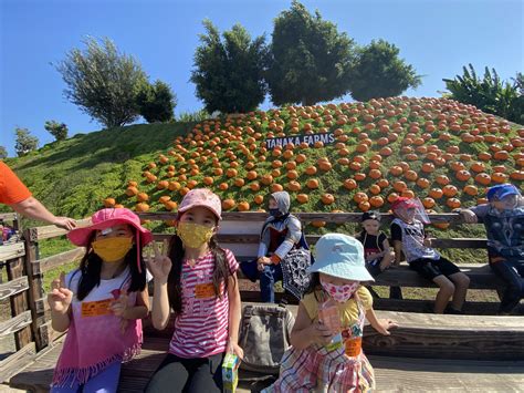 U Pick Pumpkin Wagon Ride At Tanaka Farms Huddlebee