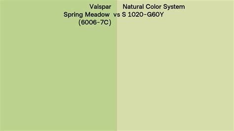 Valspar Spring Meadow 6006 7c Vs Natural Color System S 1020 G60y