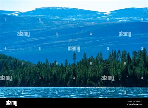 Serene View Over The Wilderness With Clam Clear Water Lush Green Pine