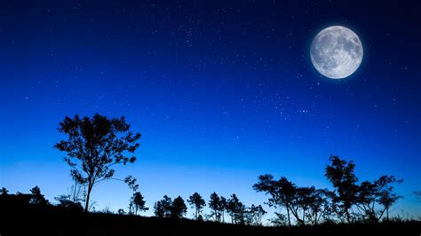 Night Sky Moon Hd - 1920x1080 - Download HD Wallpaper - WallpaperTip