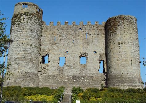 Carlow-Castle (1) - Carlow Tours | Irish Guided Tours