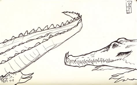 skellyscribblez: Crocodile sketch