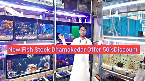 New Fish Stock Dhamakedar Offer Discount Youtube