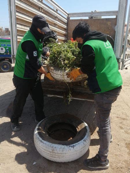 Recolecci N Selectiva De Residuos S Lidos Y Mantenimiento De Pintado