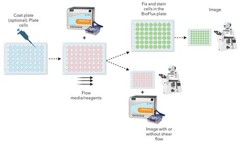 BioFlux Shear Flow Systems Enhance Physiological Productivity