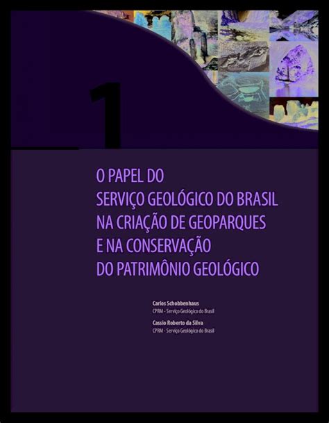 Pdf O Papel Do Servi O Geol Gico Do Brasil Na Cria O De Rigeo Cprm