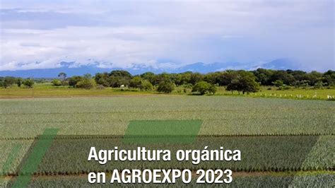 Agricultura Orgánica En Agroexpo 2023 Tvagro Por Juan Gonzalo Angel Restrepo Youtube