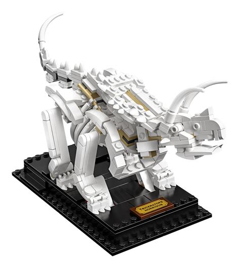 Lego Ideas 21320 Dinosaur Fossils Tout Ce Qu Il Faut Savoir Hoth Bricks