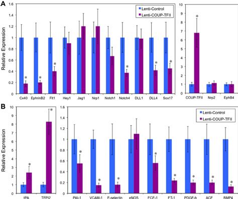 Over-expressing COUP-TFII suppresses arterial markers and promotes an ... 