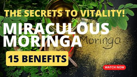 Unveiling The Miraculous Moringa Natures Superfood For Health And