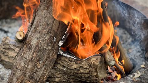 How To Build A Campfire The Basics Of Fire Building