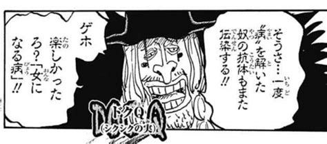 ドクq（one Piece）の徹底解説・考察まとめ Renote [リノート]