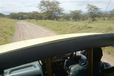 Tripadvisor Parc Du Lac Nakuru Et Promenade En Bateau Sur Le Lac