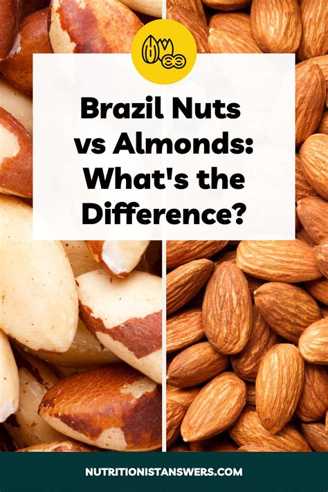 Acorn Vs Hazelnut Taste Nutrition Comparison Nutritionist Answers