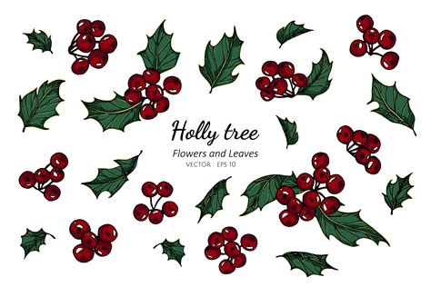 Hand Drawn Holly Berries And Leaves 1228546 Vector Art At Vecteezy