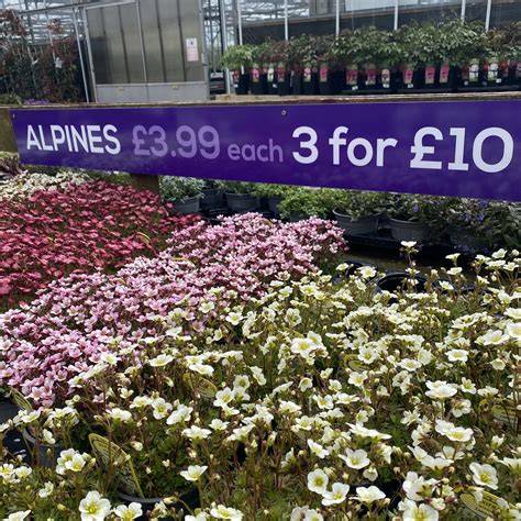 New landscaping workshops are coming to Hilltop garden centre shilton lane 17