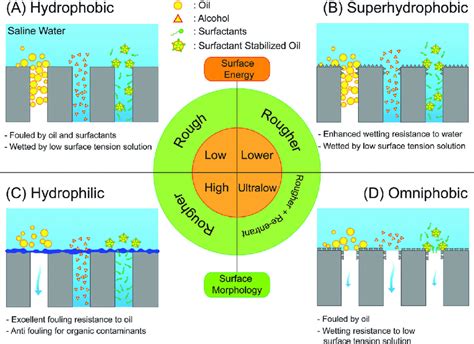 Schematic Representing Fouling And Wetting Behaviors Of Md Membranes