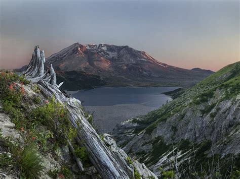 Day TourMt St Helens Natl Monument Evergreen Escapes