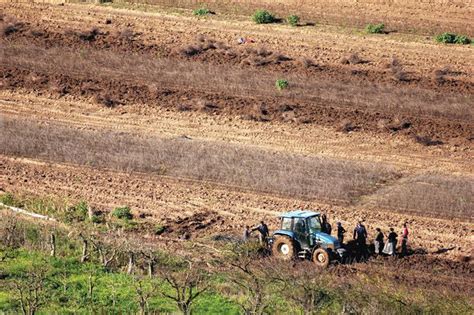 Cap Manifesta O Dos Agricultores Em Beja Acontece Dia