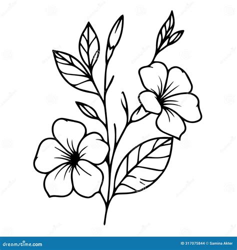 Allamanda Cathartic Line Art Coloring Page Easy Flower Drawing Vinca