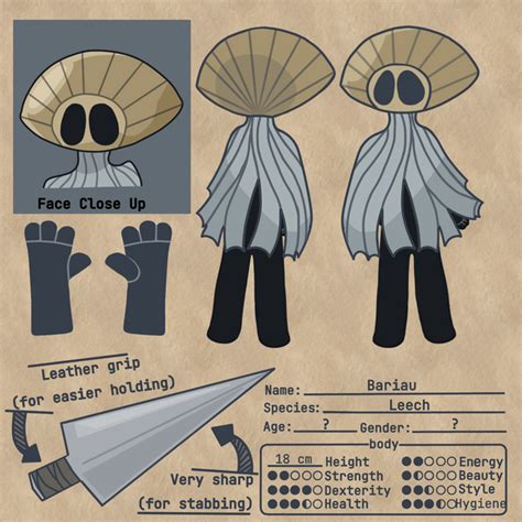 My Oc Character Sheet Rhollowknightart