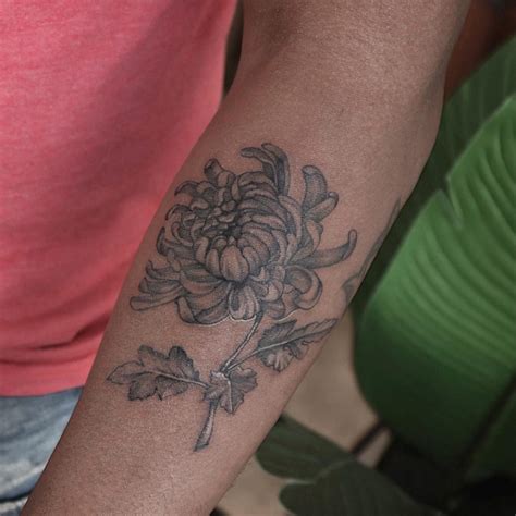 Chrysanthemum Flower Tattoo Small Best Flower Site