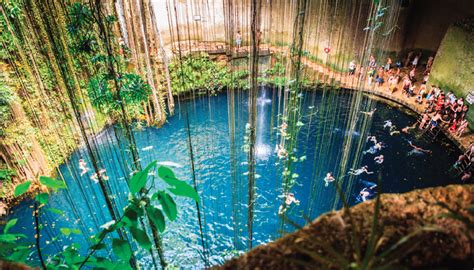 Top De Los Cenotes M S Impresionantes De La Riviera Maya Lookoutpro