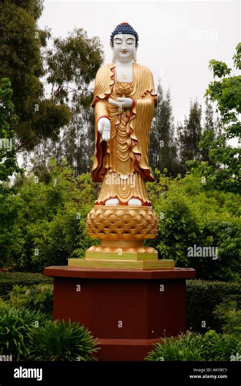 Buddha statue in grounds of Nan Tien Buddhist Temple,Berkely, New South ...