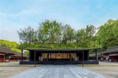 A Temporary Rooftop Forest Replaces Fukuokas Dazaifu Tenmangu Shrine