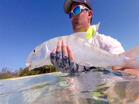 The 5 Best Fly Fishing Places in the caribbean - Lodges and Spots