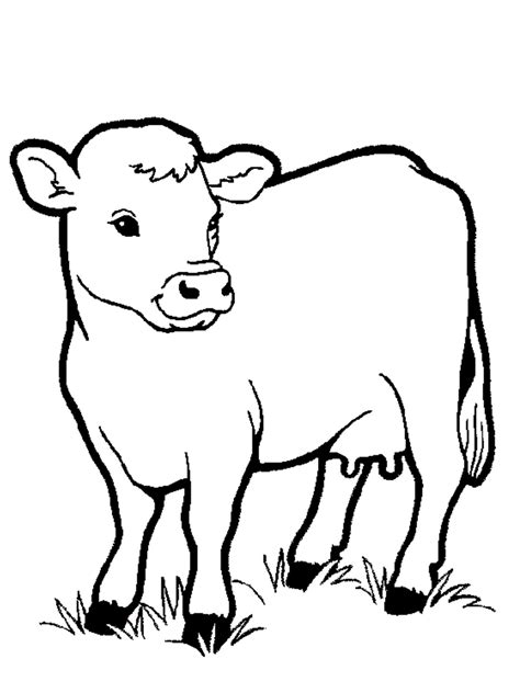 cows coloring pages 4