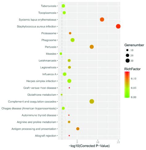 Glucose Metabolic Related Kegg Pathways For Differentially Expressed