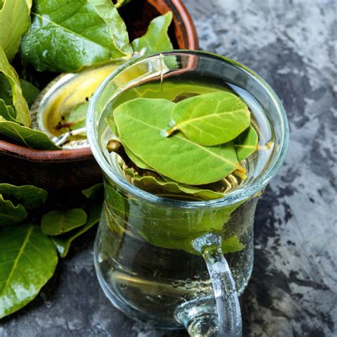 Bay Leaf and Cinnamon Tea Recipe - Brewed Leaf Love