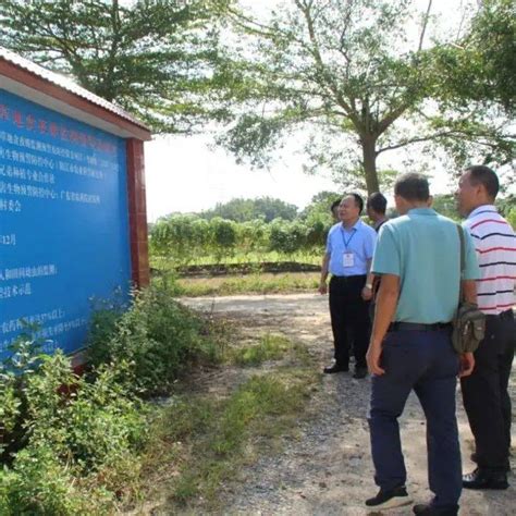 江城区政协调研组到双捷、白沙调研粮食安全生产工作 建设