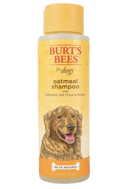 10 Best Dog Shampoo Products