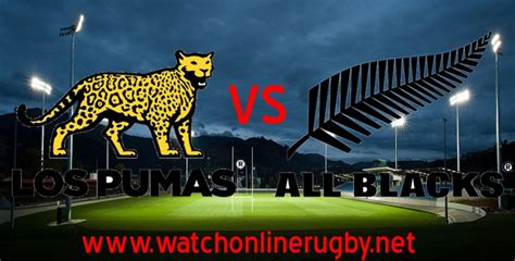 New Zealand vs Argentina Live Stream 2024 | Rugby Championship Full ...