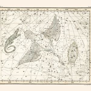 CYGNUS Star Map Print, Zodiac Sign Print, Professional Reproduction ...