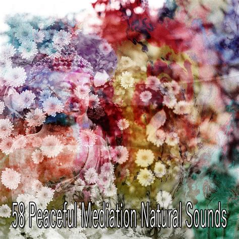 58 Peaceful Mediation Natural Sounds Album By Relaxed Minds Spotify